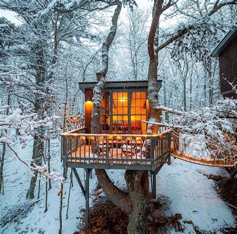Finding Solace in the Enchanting Atmosphere of Tree Cabin 16